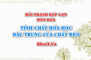 Tính chất hóa học đặc trưng của Chất Béo (Lipit) là gì? Hỏi nhanh đáp gọn môn Hóa